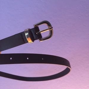 NEW dark brown belt